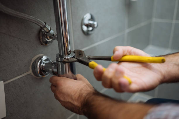 Best Local Plumber Services  in North Hornell, NY